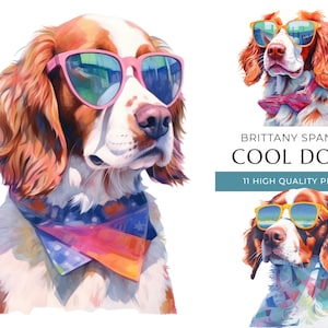 Cool Brittany spaniel Dog Clipart, 11 PNG di alta qualità, Cani divertenti con occhiali da sole Stampa acquerello, Creazione digitale, Download digitale