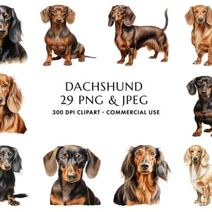 Aquarelle Dachshund Clipart Bundle 29 PNG et JPEG de haute qualité, Cadeau pour maman et papa chien, Artisanat numérique, Téléchargement numérique