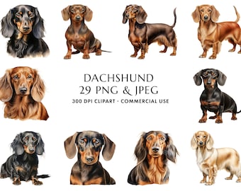 Watercolor Dachshund Clipart Bundle 29 High Quality PNG & JPEG, Gift for Dog Mom and Dad, Digital Crafting, Digital Download