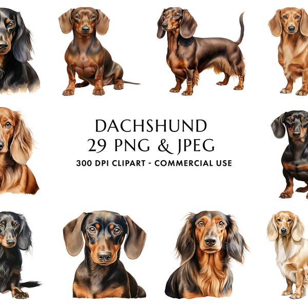 Watercolor Dachshund Clipart Bundle 29 High Quality PNG & JPEG, Gift for Dog Mom and Dad, Digital Crafting, Digital Download