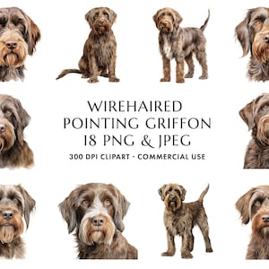 Watercolor Wirehaired Pointing Griffon Clipart Bundle 18 High Quality PNG & JPEG, Gift for Dog Mom and Dad, Digital Download