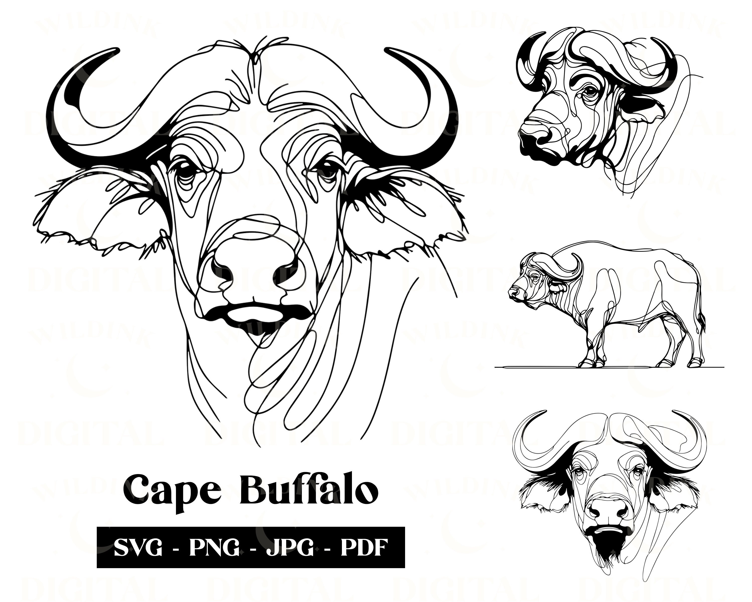 Cape Buffalo Line Art: Minimalistyczny projekt logo (do pobrania cyfrowego)