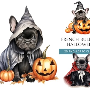 Clipart de aquarela de cachorro de Halloween de buldogue francês - 20 PNG e JPEG de alta qualidade, doces ou travessuras, cachorrinho fofo, download digital