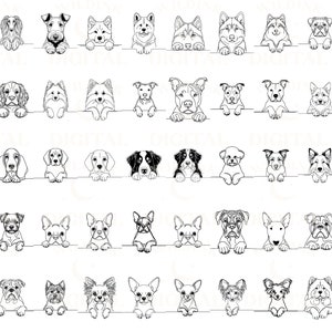 May include: Black and white line drawings of various dog breeds looking over a white surface. The dogs are all facing forward and have their heads tilted slightly down. The drawings are simple and stylized.