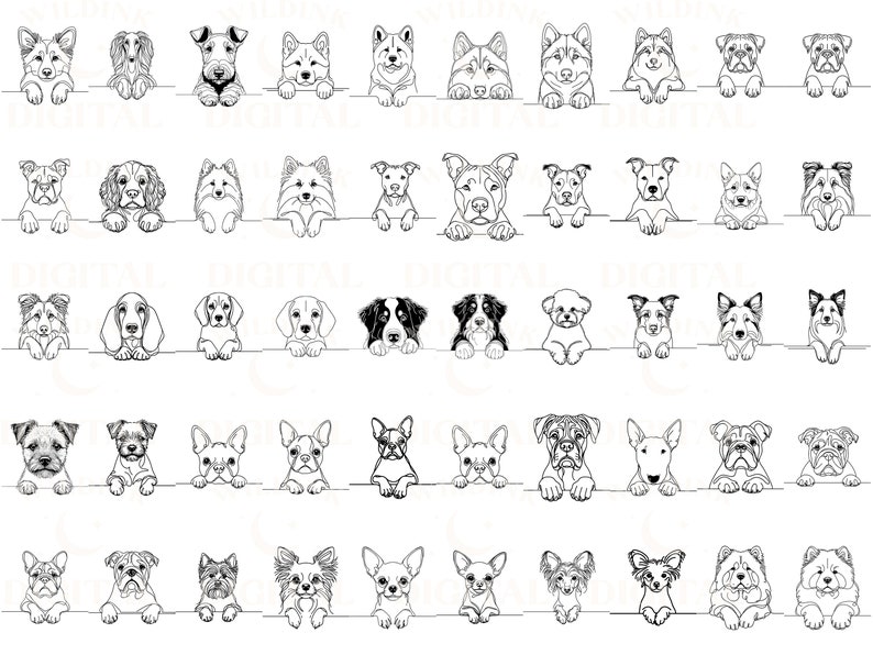 May include: Black and white line drawings of various dog breeds looking over a white surface. The dogs are all facing forward and have their heads tilted slightly down. The drawings are simple and stylized.