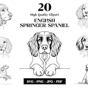 Pacchetto Springer Spaniel inglese SVG e PNG Clipart: Digital Line Art, disegno vettoriale minimalista per sublimazione, download digitale