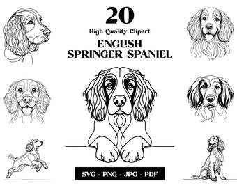 May include: A set of 20 high quality clipart images of English Springer Spaniels in black and white line art style. The images feature various poses of the dogs, including sitting, standing, and running. The text "20 High Quality Clipart ENGLISH SPRINGER SPANIEL" is at the top of the image. The text "SVG - PNG - JPG - PDF" is at the bottom of the image.