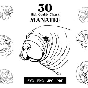 Manatí SVG Clipart, Arte de línea minimalista marina, Vector animal logotipo, Arte moderno, Diseño de tatuajes y sublimación, Bordado, Descarga digital