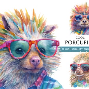 Watercolor Porcupine Clipart with Sunglasses, 12 High-Quality PNG & JPEG, Cool Woodland Animal Print, Digital Crafting, Digital Download