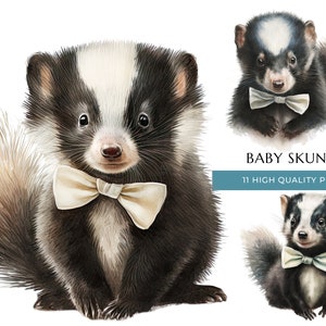 Baby Skunk with bow tie Watercolor Clipart of 11 PNGs, Woodland baby shower invitations, Nursery wall art decor prints, Digital downloads