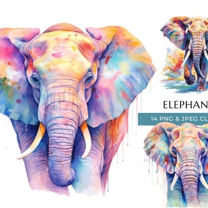 Elefant Clipart - 14 hochwertige PNGs & JPEG - bunte Aquarell Safari Animal Print - digitales Basteln - sofortiger digitaler Download