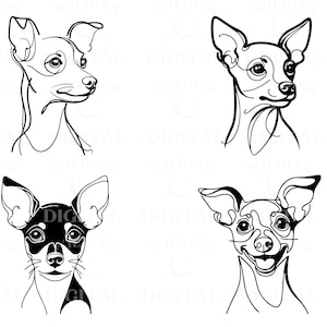 May include: Four black and white line drawings of a Chihuahua dog breed. Each drawing shows a different expression on the dog's face.
