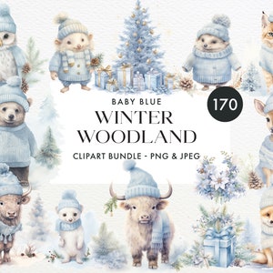Animais de Natal da floresta azul bebê, pacote de 170 clipart, clipart de animais da floresta, clipart de inverno, Natal da floresta, download digital
