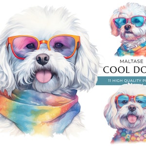 Coole Malteser Hund Clipart, 11 hochwertige PNGs, lustige Hunde mit Sonnenbrille Aquarell Drucke, digitales Basteln, digitaler Download