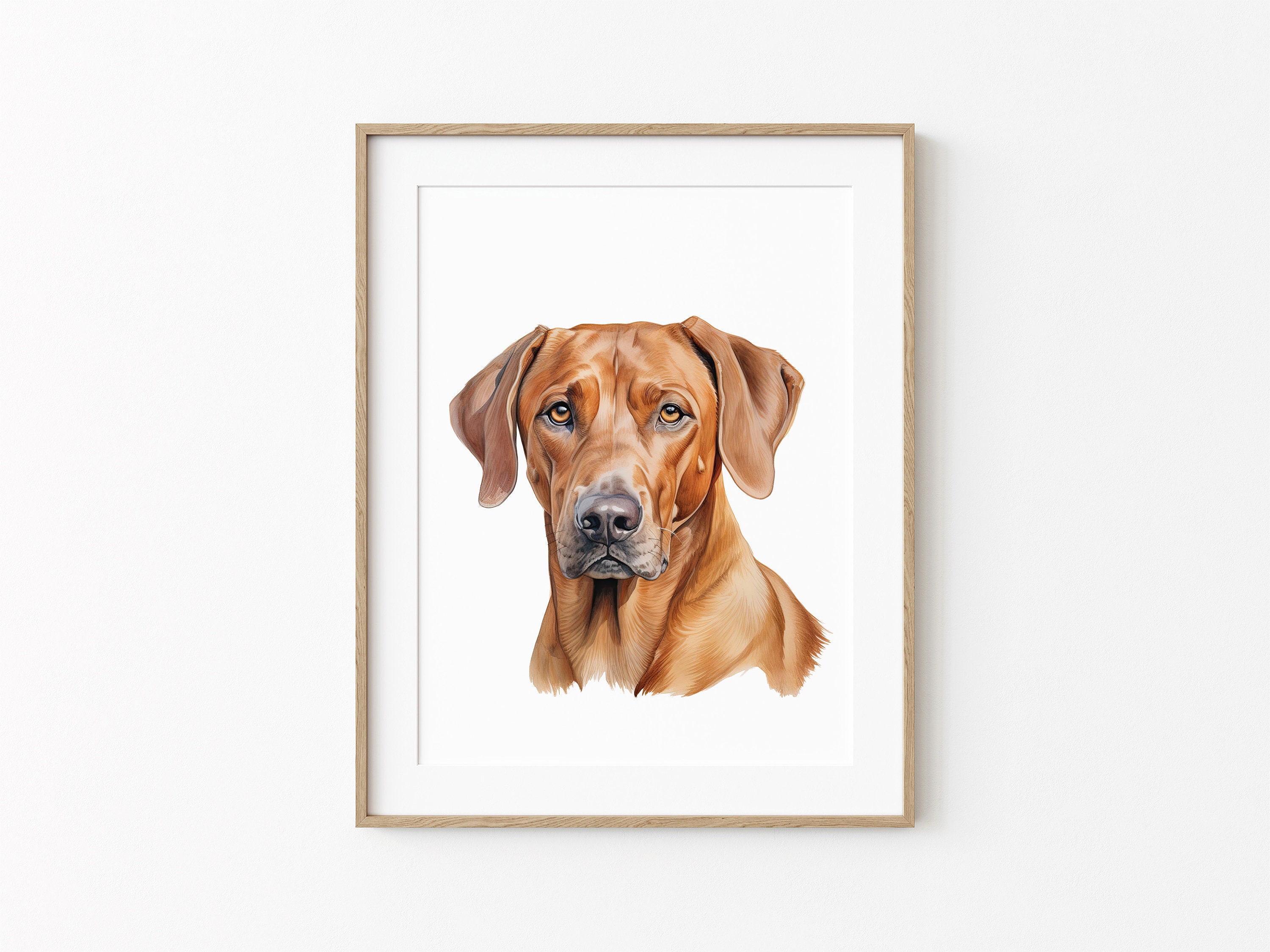 Watercolor Rhodesian Ridgeback Clipart: 23 PNG & JPEG Dog Graphics ...
