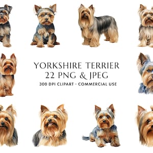 Aquarell Yorkshire Terrier Clipart Bundle 22 hochwertige PNG & JPEG, Yorkie Geschenk für Hund Mama und Papa, digitales Basteln, digitaler Download