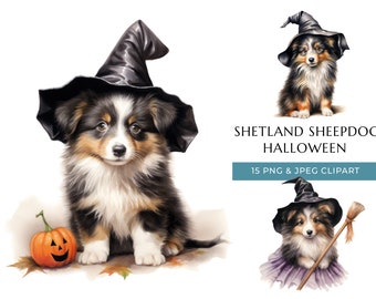 May include: Watercolor clipart set featuring a Shetland Sheepdog in a witch hat, with a carved pumpkin and autumn leaves. The text reads "Shetland Sheepdog Halloween" and "15 PNG & JPEG Clipart".
