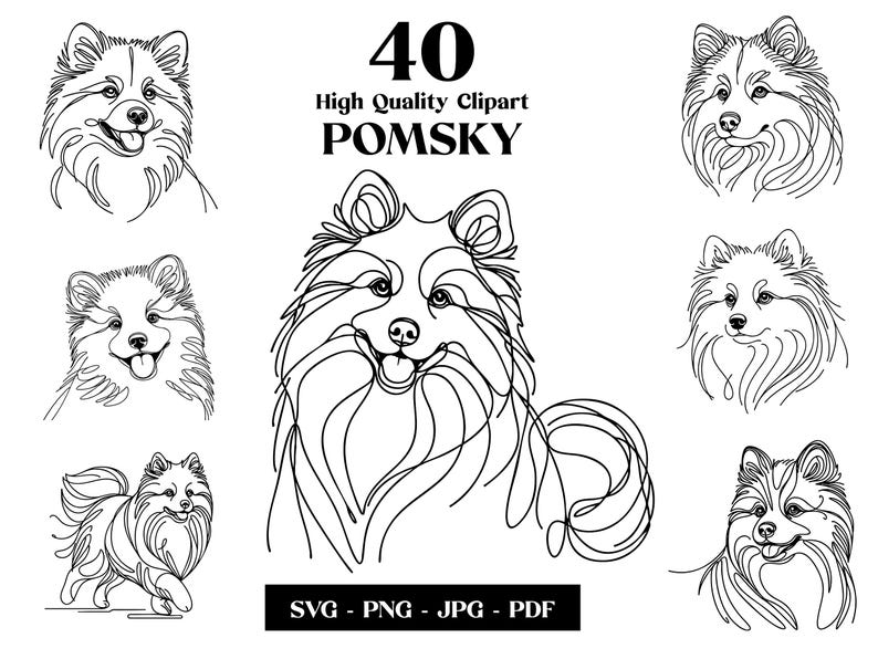 Pomsky Line Art Clipart Bundle: Minimalist Dog SVG, PNG (digital ...