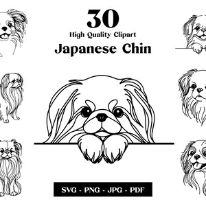 Op de afbeelding: Een set van 30 hoogwaardige clipart-afbeeldingen van Japanse Chin-honden in verschillende poses. De afbeeldingen zijn in zwart-wit en perfect voor gebruik in digitale projecten of om te printen.