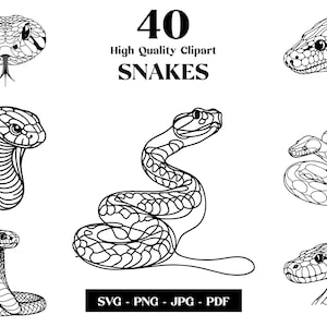 Slangen SVG clipart, Python minimalistische lijntekeningen, Anaconda logo dierlijke vector, Cobra moderne kunst, tattoo & sublimatie ontwerp, borduurwerk