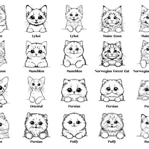 May include: Line drawings of different cat breeds, including LaPerm, Lykoi, Maine Coon, Munchkin, Norwegian Forest Cat, Oriental, Persian, Puffy, and Ragdoll. Each cat is depicted with a unique facial expression and fur pattern.