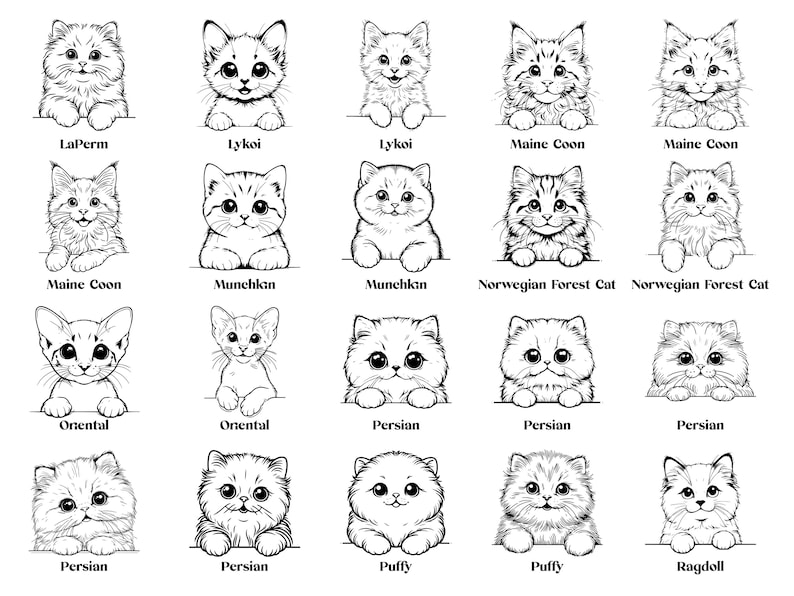 May include: Line drawings of different cat breeds, including LaPerm, Lykoi, Maine Coon, Munchkin, Norwegian Forest Cat, Oriental, Persian, Puffy, and Ragdoll. Each cat is depicted with a unique facial expression and fur pattern.