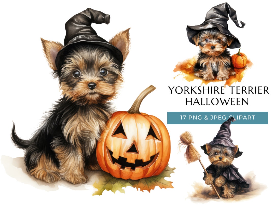 Yorkie Halloween Clipart: Watercolor Puppy PNG & JPEG (digital Download
