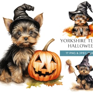 Yorkshire Terrier Halloween Dog Watercolor Clipart - 17 High-Quality PNG & JPEG, Yorkie Trick or Treat Cute Puppy - Digital Download