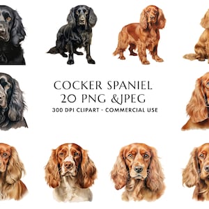 Watercolor Cocker Spaniel Clipart Bundle 20 High Quality PNG & JPEG, Gift for Dog Mom and Dad, Digital Crafting, Digital Download