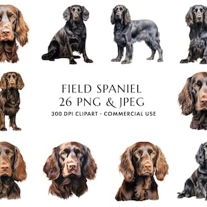 Watercolor Field Spaniel Clipart Bundle 26 High Quality PNG & JPEG, Gift for Dog Mom and Dad, Digital Crafting, Digital Download