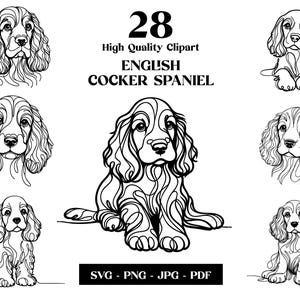 Cocker anglais SVG & PNG Clipart Bundle : dessin au trait numérique, conception de Sublimation de chiot de vecteur minimaliste, amoureux des chiens, téléchargement numérique