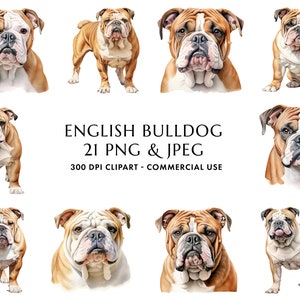 Aquarelle English Bulldog Clipart Bundle 21 PNG et JPEG de haute qualité, cadeau pour maman et papa chien, artisanat numérique, téléchargement numérique