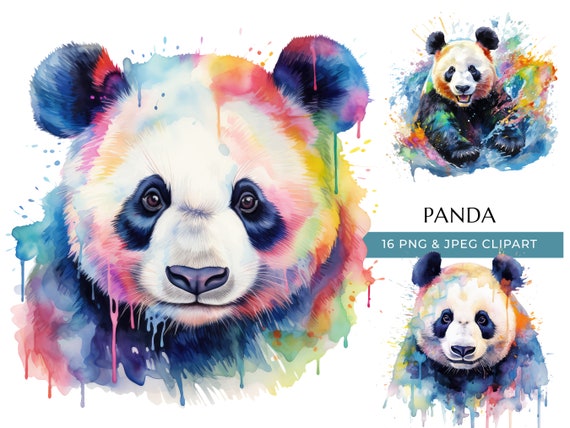 Watercolor Panda Clipart: Colorful Bear PNG & JPEG (Digital Download)