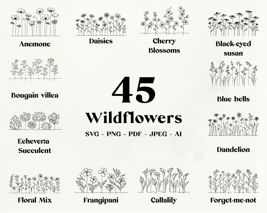 Wildflower SVG Bundle: Elegant Floral Line Art (digital Download) - Etsy