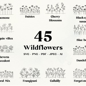 45 fleurs sauvages SVG | Élégant floral svg, png, pdf, jpeg, ai | Art botanique printanier vectoriel | Graphiques au trait, téléchargement numérique