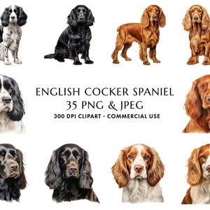 Aquarel Engelse Cocker Spaniel Clipart Bundel 35 Hoge kwaliteit PNG & JPEG, Cadeau voor hond mama en papa, Digitale Crafting, Digitale Download