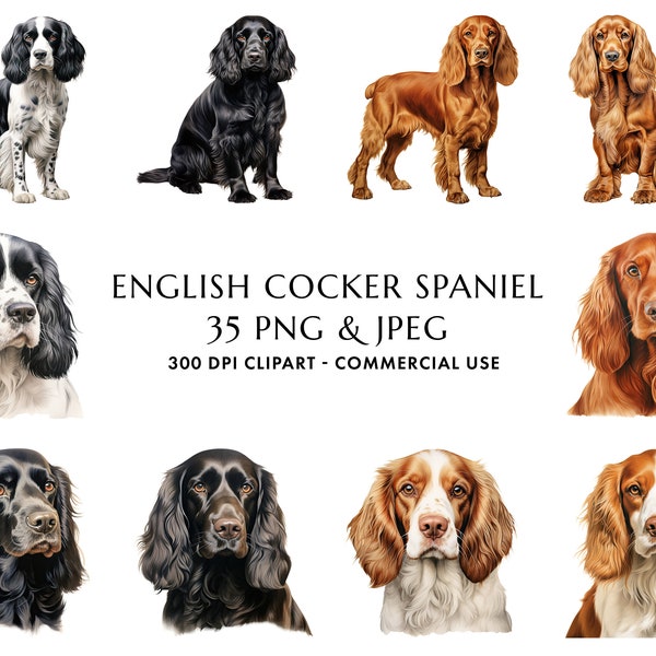 Watercolor English Cocker Spaniel Clipart Bundle 35 High Quality PNG & JPEG, Gift for Dog Mom and Dad, Digital Crafting, Digital Download