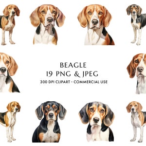 Aquarell Beagle Clipart Bundle 19 Hochwertige PNG & JPEG, Geschenk für Hund Mama und Papa, Digital Crafting, Digital Download