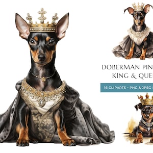 King & Queen Doberman Cute Puppy Watercolor Clipart - 16 High Quality PNG and JPEG, Royal Dogs - Instant Digital Download