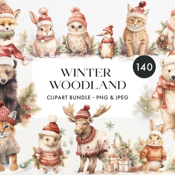 Woodland Animals, 140 Clipart Bundle, Forest Animal Clipart, Christmas Clipart, Winter Clipart, Woodland Christmas, Digital Download