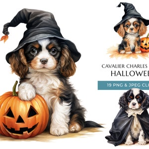 Cavalier King Charles Spaniel Halloween Perro Acuarela Clipart - 19 PNG & JPEG de alta calidad, Truco o Trato Lindo Cachorro, Descarga Digital