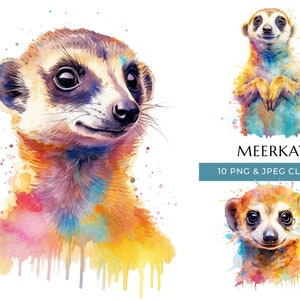 Aquarell Erdmännchen Clipart: Safari Tier PNG & JPEG (Digital Download)