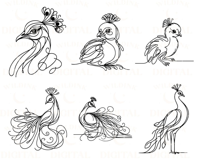 Peacock SVG Clipart: Minimalist Line Art Vector (digital Download) - Etsy