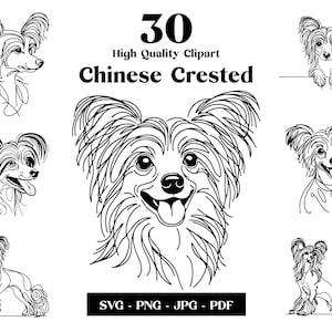 Pacchetto clipart Chinese Crested SVG e PNG: Digital Line Art, disegno vettoriale minimalista per sublimazione, amante dei cani, download digitale del cucciolo
