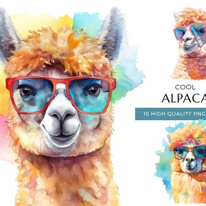 Aquarell Alpaka Clipart mit Sonnenbrille, 10 hochwertige PNG & JPEG, cooler Bauernhof Animal Print, digitales Basteln, digitaler Download