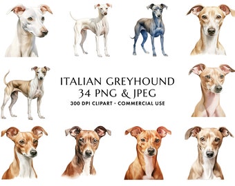 Könnte beinhalten: Ein digitales Illustrationsset mit 34 Bildern von italienischen Windhunden in verschiedenen Posen und Farben. Die Bilder sind 300 DPI und für kommerzielle Zwecke geeignet. Der Text "ITALIAN GREYHOUND 34 PNG & JPEG 300 DPI CLIPART - COMMERCIAL USE" wird unter den Bildern angezeigt.