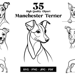May include: A set of 35 high-quality line art illustrations of Manchester Terriers in various poses. The illustrations are in black and white and are perfect for use in digital or print projects.