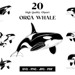 May include: A set of 20 high quality clipart images of orca whales in black and white. The images are in various poses and sizes, and are perfect for use in crafts, scrapbooking, or digital design.