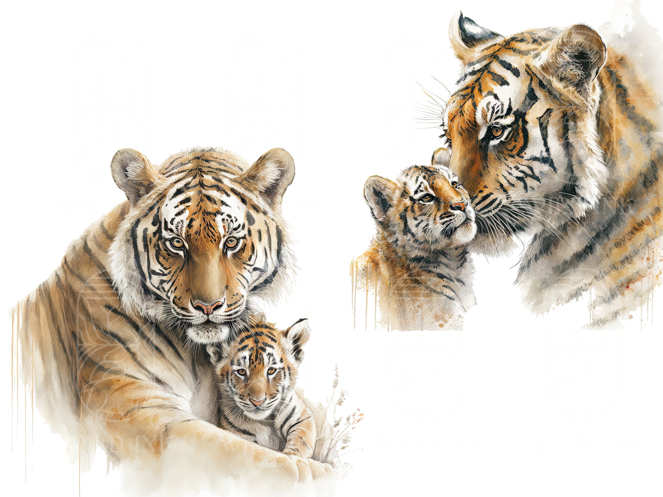 Watercolor Tiger Mom and Baby Clipart: Family Pngs (digital Download) - Etsy, image size:2700x2025