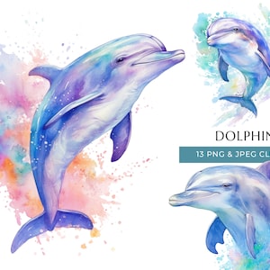 Delfin Clipart - 13 hochwertige PNGs & JPEG - bunte Aquarell Meerestier - digitales Basteln - sofortiger digitaler Download